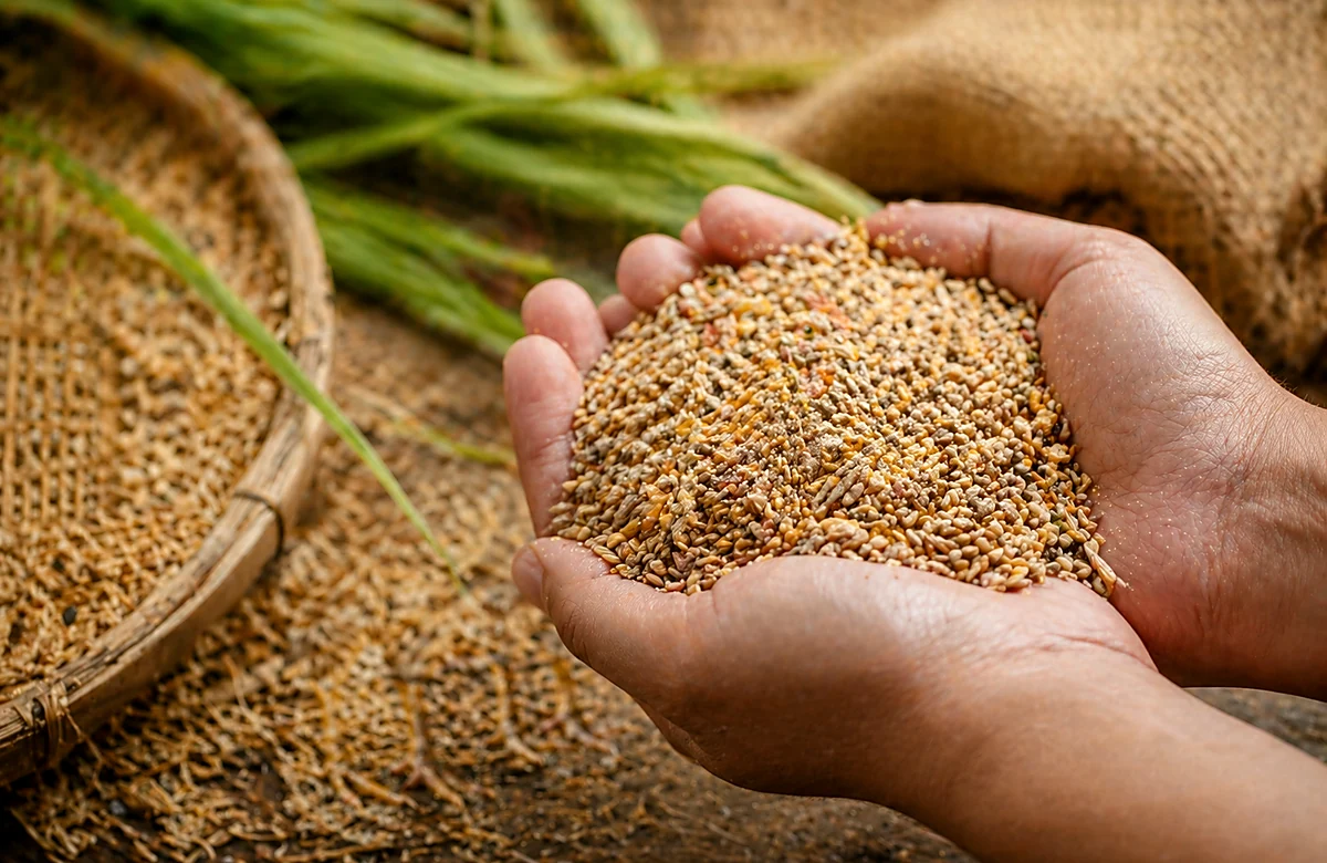 Pakan organik pilihan